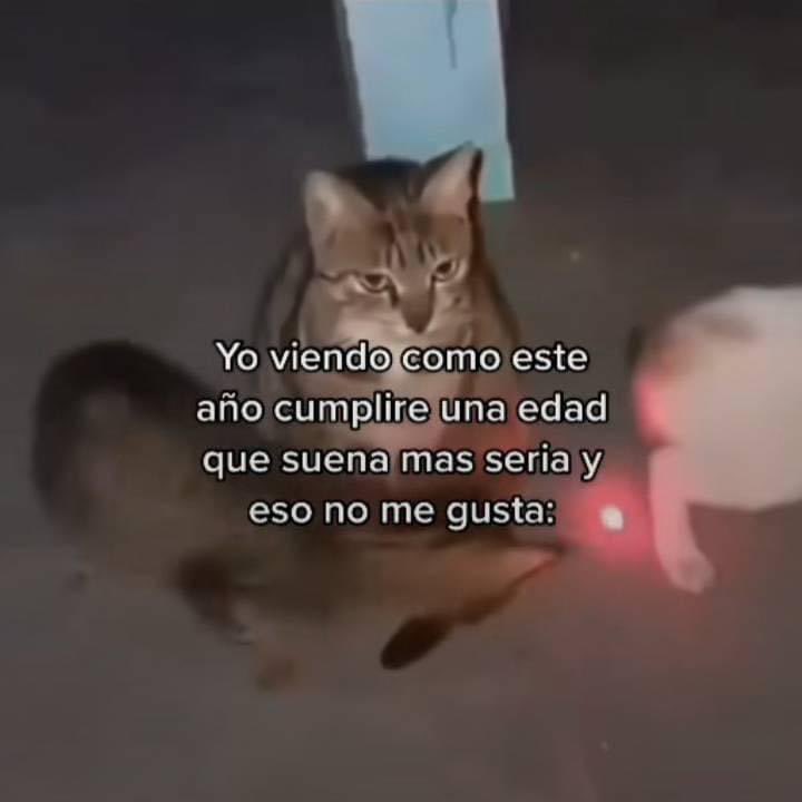El Guarromántico (@guarromantico_) on Twitter photo 