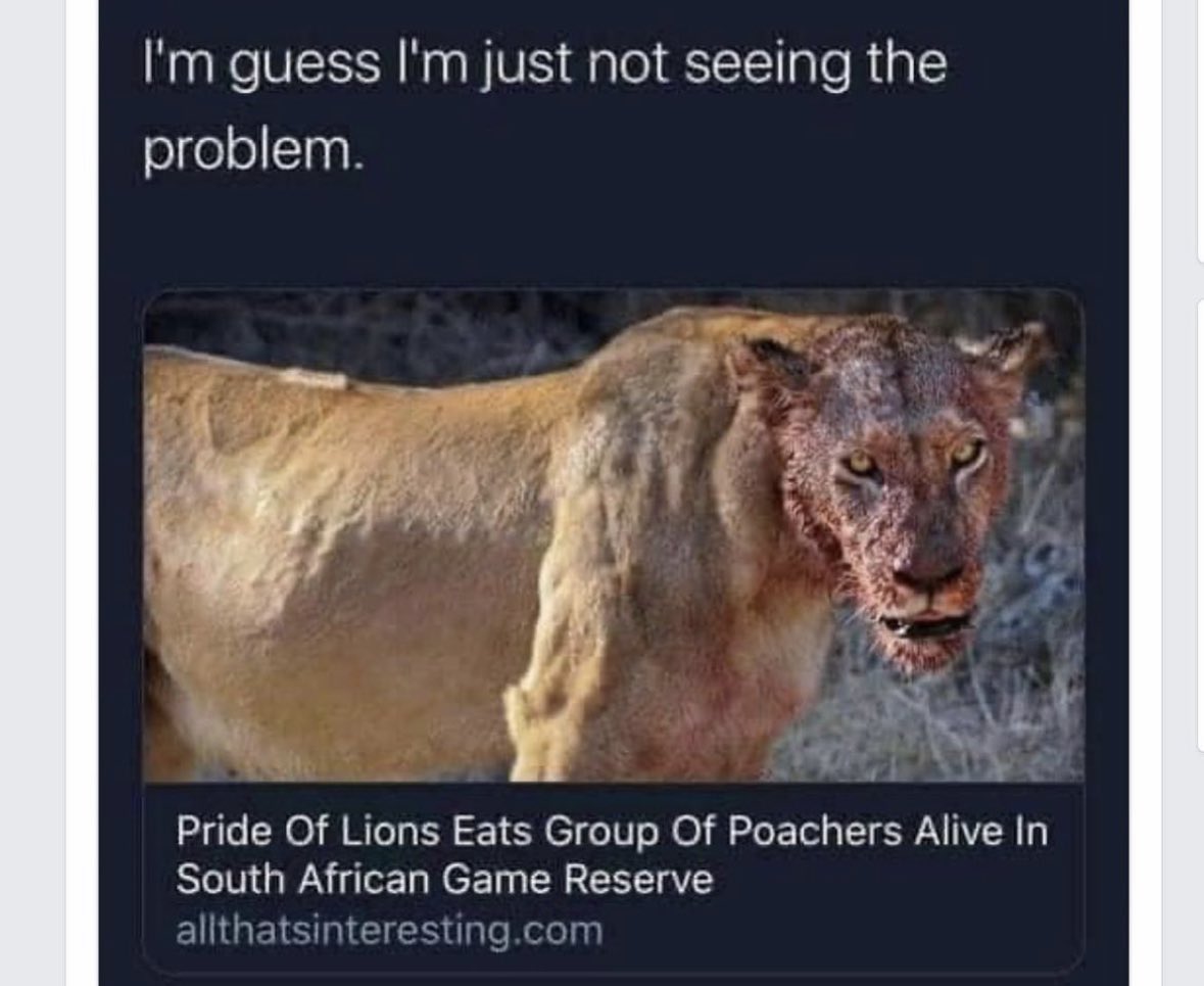 What problem?