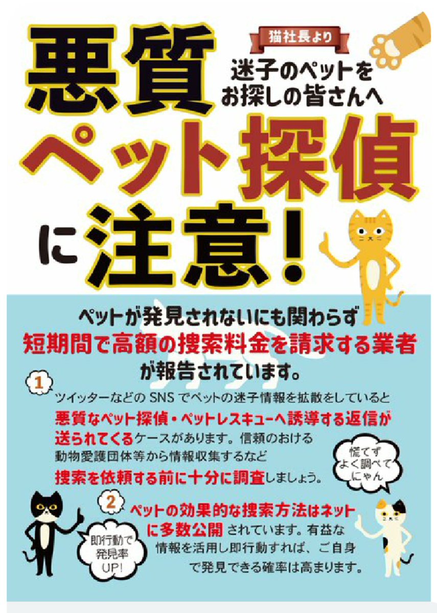 こんにちは
迷子ちゃんをを探している皆様、迷子にされてない方❗
１度お目通しを！
この様な事もありますので、
おこがましいですが大切な家族の為に！
宜しくお願い致しますm(__)m