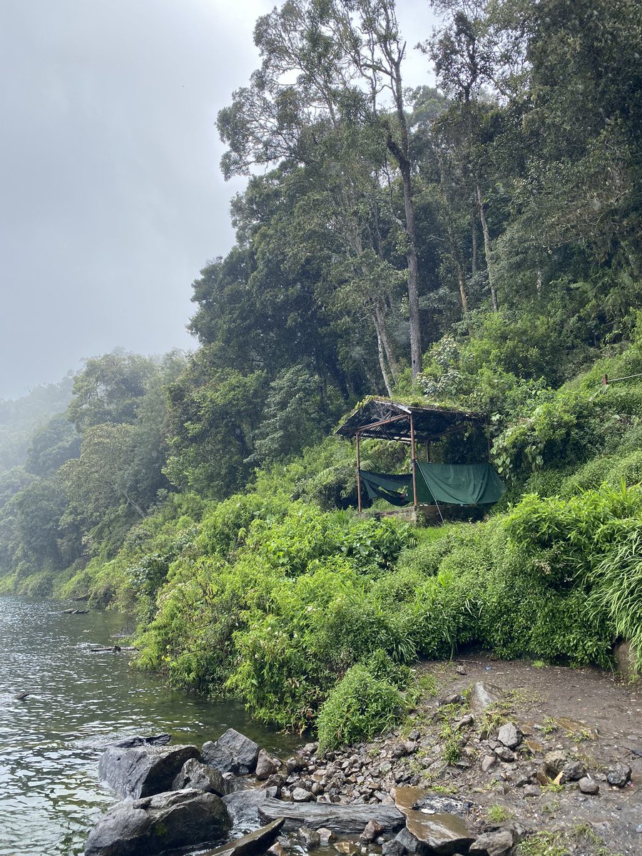 I love fieldwork! 🦇🦉🌋