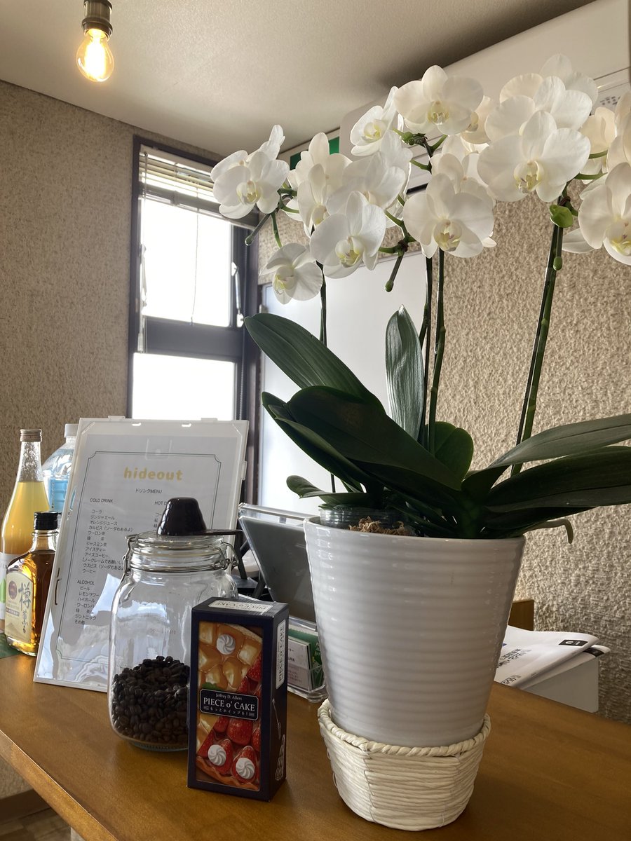 bgCafe_oofuna's tweet photo. 花粉症で寝不足気味だけど良いお天気です。本日も元気にオープンいたしました。お一人様、グループ様大歓迎です。
お気軽にお越しください*\(^o^)/* #ボードゲームカフェ #大船カフェ #大船呑み #鎌倉デート https://t.co/PPJrQhgzkT