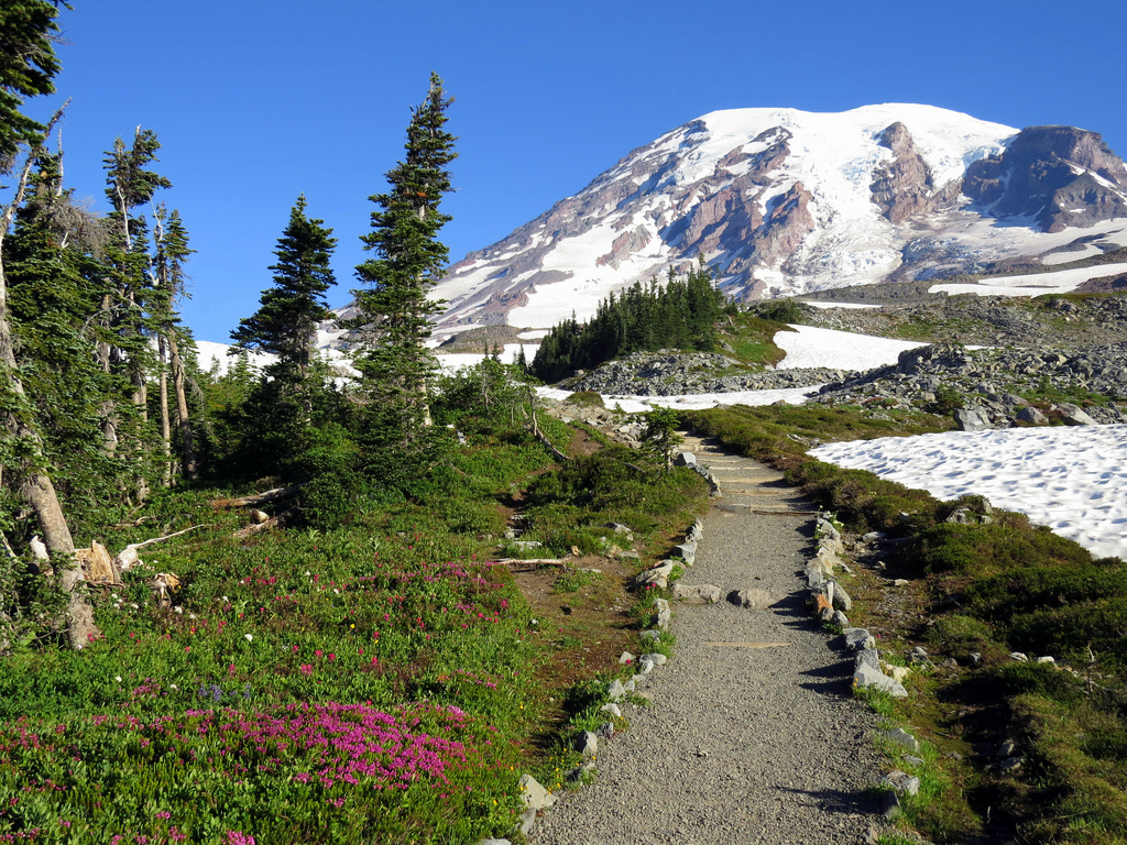visitmtrainier's tweet photo. Ready to talk about your favorite national park memories? Join us as we host #ParkChat on March 8th at 9 p.m. EST. We can't wait to connect with fellow park enthusiasts. See you there! https://t.co/T7BiFalxU3