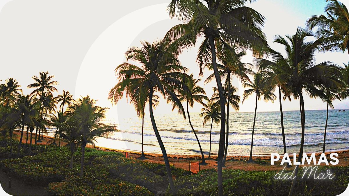 ViveloPR's tweet photo. #TerminaHOy🌴🏘️🏖️#PalmasdelMar ¡Vacaciones en Memorial Day! ➔ https://t.co/4EFnsYNJ0b Estadía de 5d/4n en Villa Privada completamente equipada para hasta 4 por $599 en vez de $921.40 (Separa con $59)

#VillasPrivadasenPalmas #GastaMenosViveMás #MemorialDay https://t.co/H6pe1Z0bE4