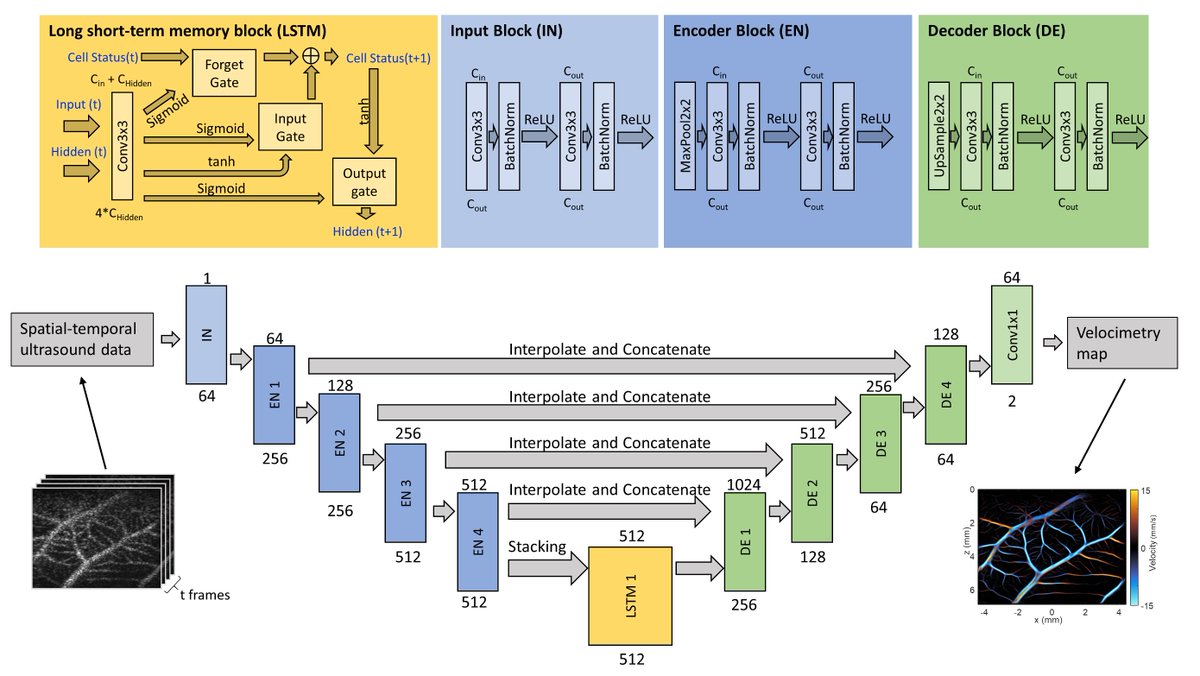 Check out our latest <a href="/IEEE_TMI/">IEEE-TMI</a> paper by <a href="/XiChen956316941/">Xi Chen</a> and <a href="/MRLowerison/">Matthew Lowerison</a>! We present our deep-learning based technique for super-resolution ultrasound that makes efficient use of microbubble flow info to provide real-time super-resolution capability.

doi.org/10.1109/TMI.20…