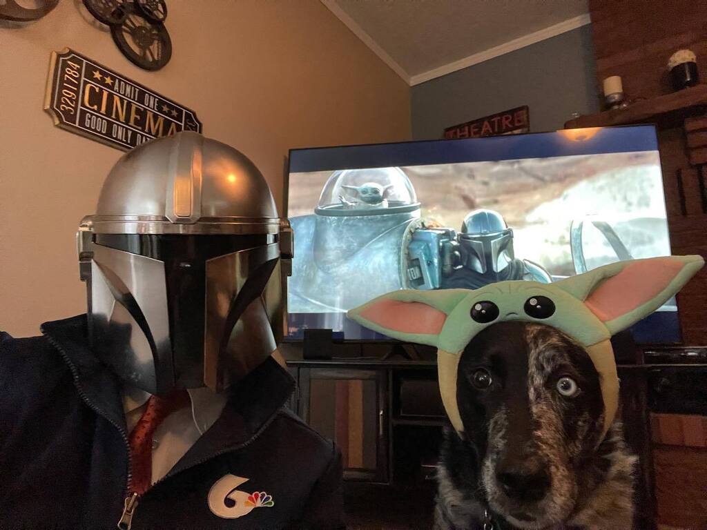 Davenport25's tweet photo. Both #TheMattorian and #RogueOne the #StarWars #dog are as thrilled as a #womprat on a sunny day to sit down and watch the season premiere of #TheMandalorian. What did you think of Chapter 17? Use three words only and no spoilers. https://t.co/k1UzFbiuxS https://t.co/NV09xfWZhI