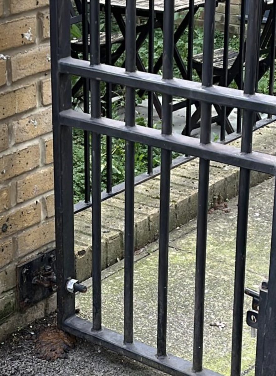 platform_watch's tweet photo. Visiting  #london #Brixton has never been so interesting and the total opposite of #entertaining I recently saw this crock of $**^ outside of peoples homes on Brixton terraces it even goes up the walls #amazing  @BackingBrixton  @lambeth_council https://t.co/k246F4X21i