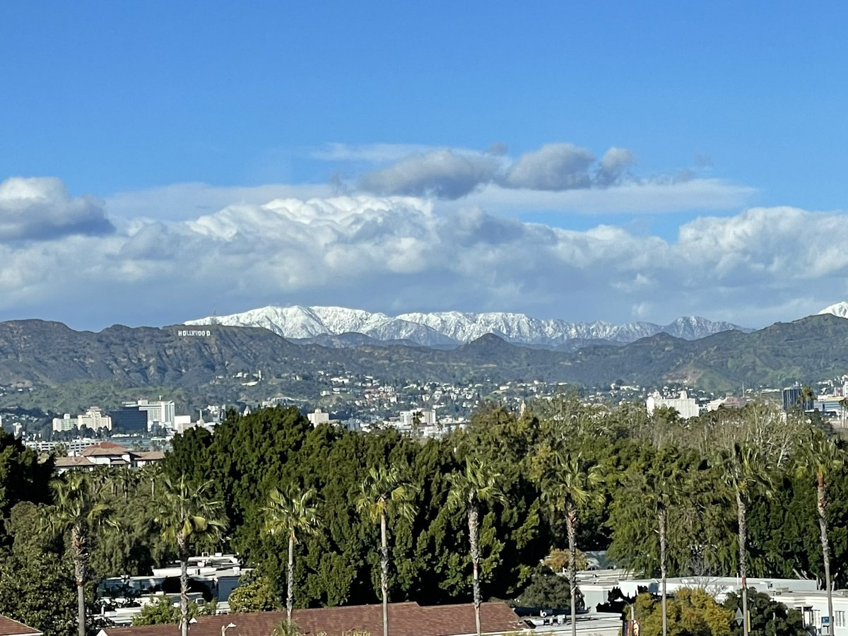 martypreciado's tweet photo. Snow and palm trees. Yes, that’s the Hollywood sign, and snow next to it. https://t.co/iZpkxO7qeh