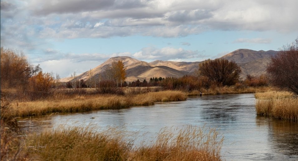 CherbertsImages's tweet photo. @SiKImagery A fall view of Idaho's famous Silver Creek. https://t.co/cChuzWbDyI