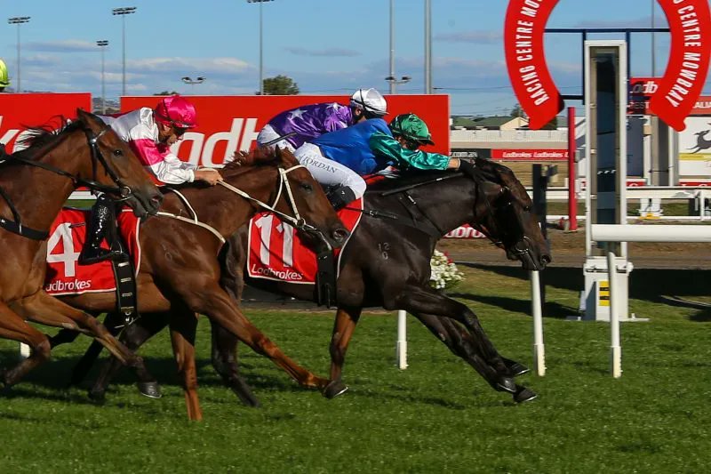 Tasracing Australia tweet media