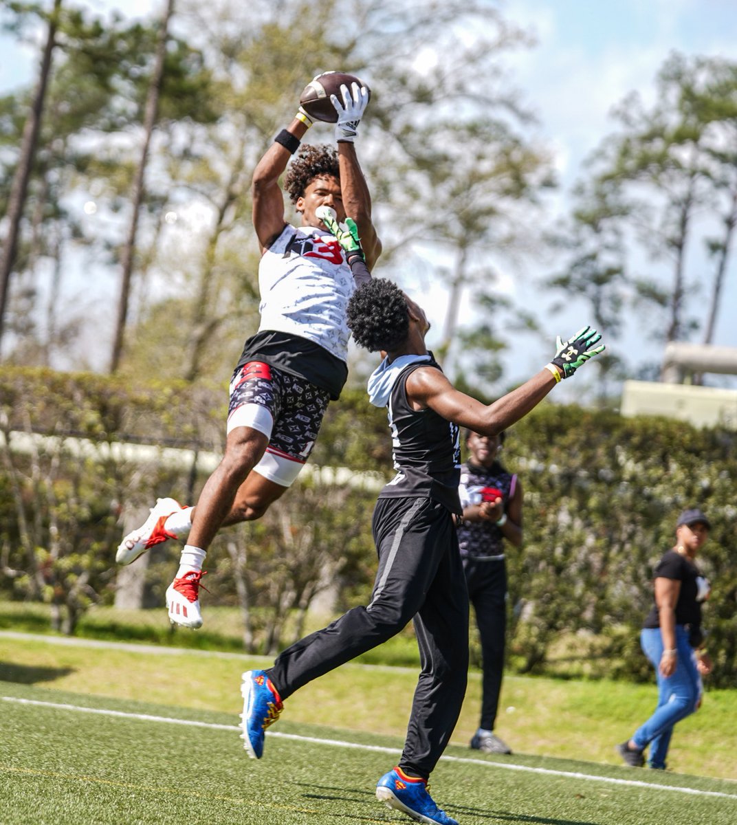 THE PLATFORM tweet media