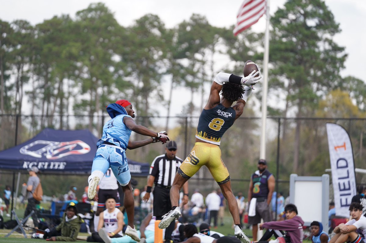 THE PLATFORM tweet media