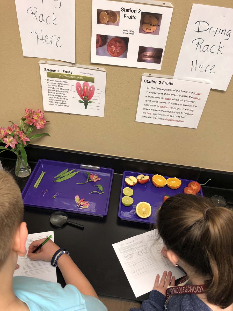 Diana Mitchell tweet media