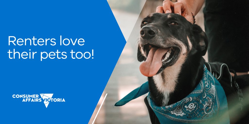 Consumer Affairs Victoria on Twitter "Let’s paws to celebrate changes