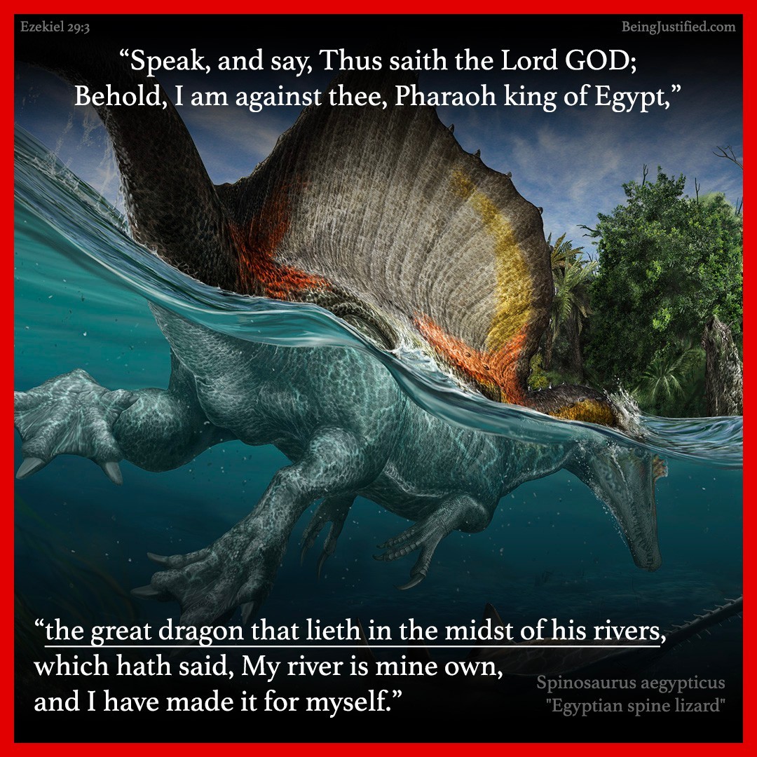 BeingJustified's tweet photo. The #Lord describes the #Pharaoh king of #Egypt in judgement as the great dragon #Spinosaurus that lies in the midst of his rivers. They also found the biggest spino specimens in Egypt, no coincidence there. https://t.co/b59Cv6137V