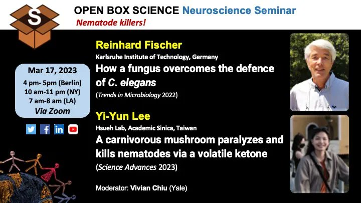 OpenBoxSci's tweet photo. OBS #Microbiology #Neuroscience Seminar
"#Nematode killers!"  
📆 Friday, Mar 17, 4pm Berlin/10am NY/7am LA
👉  https://t.co/mZMiKBU7hb
Star speakers: Dr. Reinhard Fischer from KIT &amp; @YiyunLee_ from @fungi_worms @IMBSinica 
#Ketone #InterspeciesInteractions #Celegans #Fungi https://t.co/oqknywCoJm