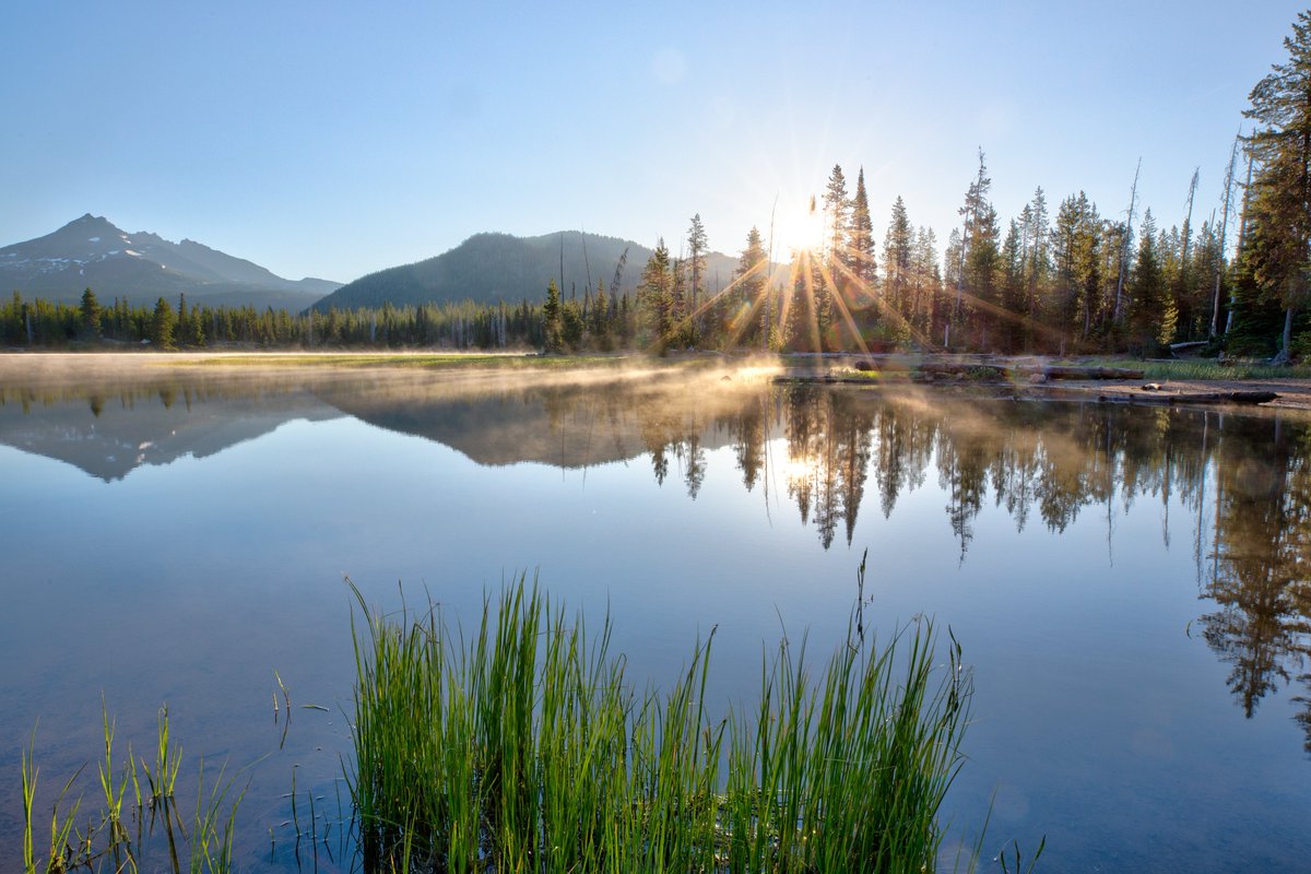 ForestServiceNW's tweet photo. “I firmly believe that nature brings solace in all troubles.”

--Anne Frank https://t.co/b9axplP843