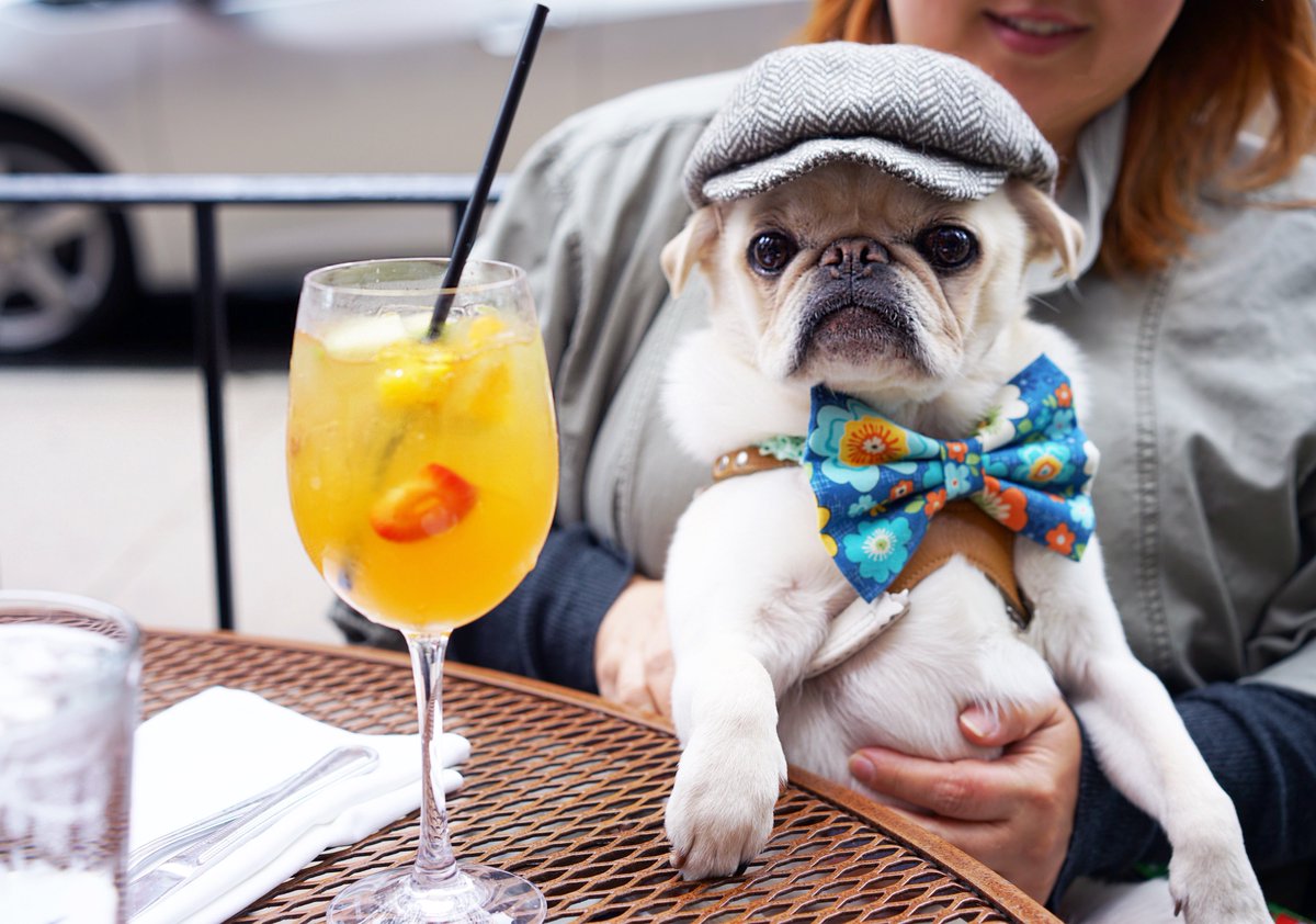 PugSmore⁷ ᴬᴿᴵᴿᴬᴺᴳ 💜 tweet media