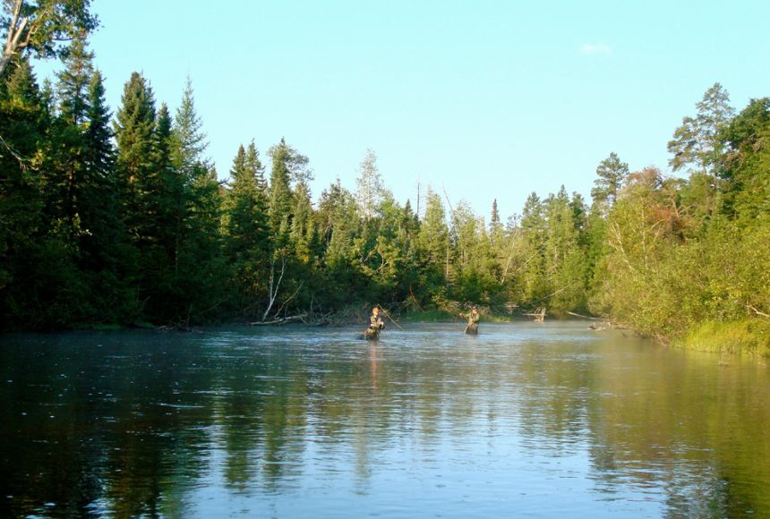 Ishanam2's tweet image. Flood plains are naturally very fertile due to the river sediment which is deposited there. This sediment is good for growing plants on the flood plain 🌳🌳🌳 #SaveSoil @cpsavesoil @SadhguruJV @rallyforrivers #CaveryCalling #ProjectGreenHands
