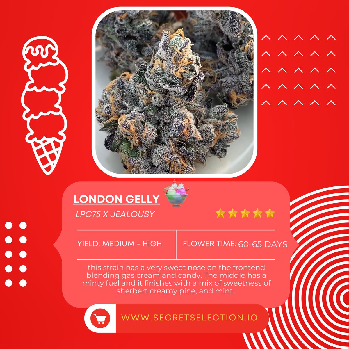 Raw_Genetics_'s tweet photo. London gelly 😋🍦 one of the many delicious 🤤 options on the menu at #SecretSelections  and now we offer the option to order slips 🫡 https://t.co/OzLP6KE2m8