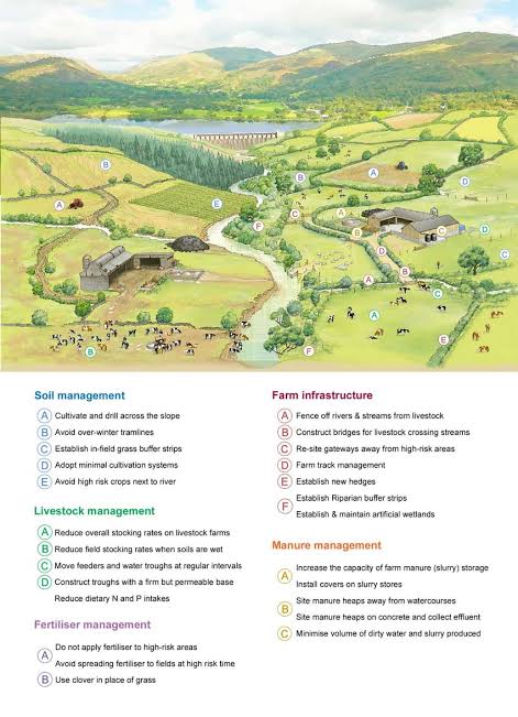 Ishanam2's tweet image. Flood plains are naturally very fertile due to the river sediment which is deposited there. This sediment is good for growing plants on the flood plain 🌳🌳🌳 #SaveSoil @cpsavesoil @SadhguruJV @rallyforrivers #CaveryCalling #ProjectGreenHands