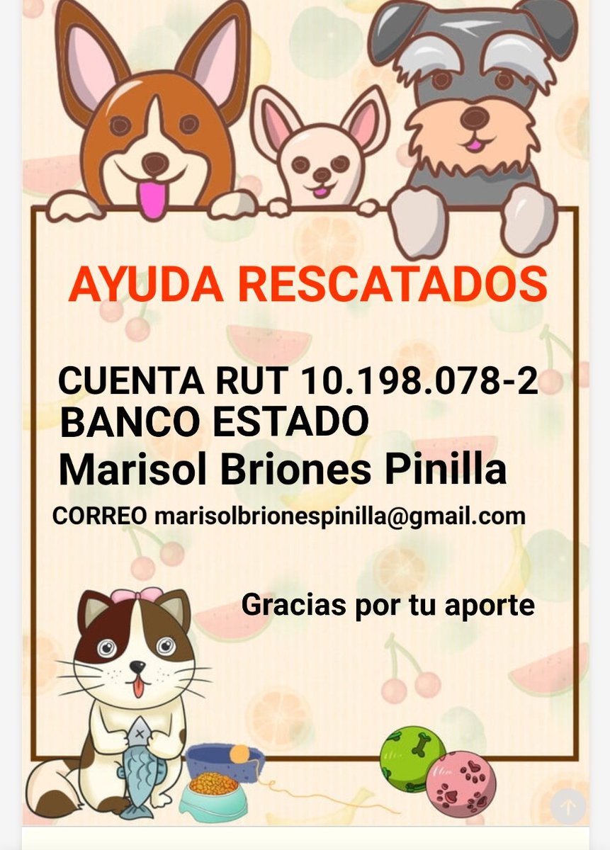 Como todos los meses estoy pidiendo aportes para alimento de mis rescatados, a la vez estoy buscando padrinos para los 3 🐕 enfermos del refugio
Toto
Pipo
Viejita
Ruego ayuda 🙏
Por favor poner en asunto para quien es el aporte (alimento/Pipo/Toto/viejita)
Ver mis últimos tuit 🙏
