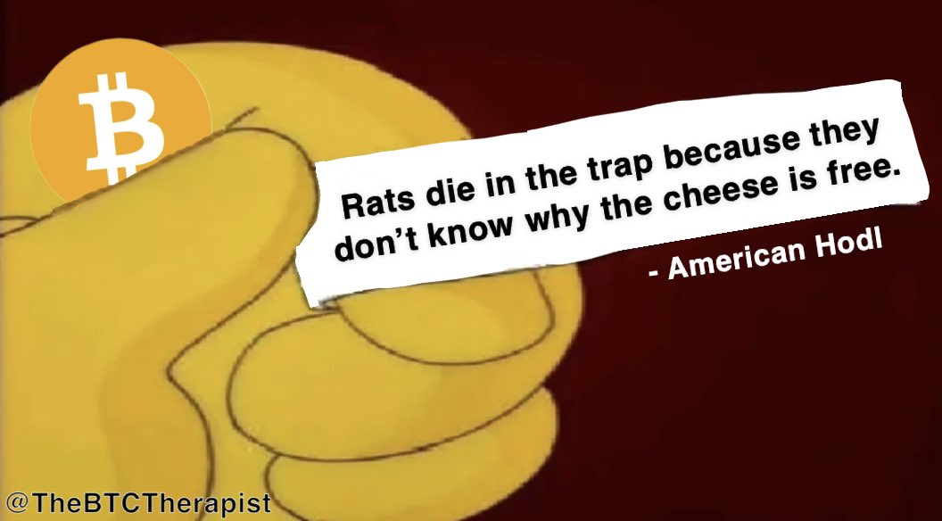 The ₿itcoin Therapist tweet media