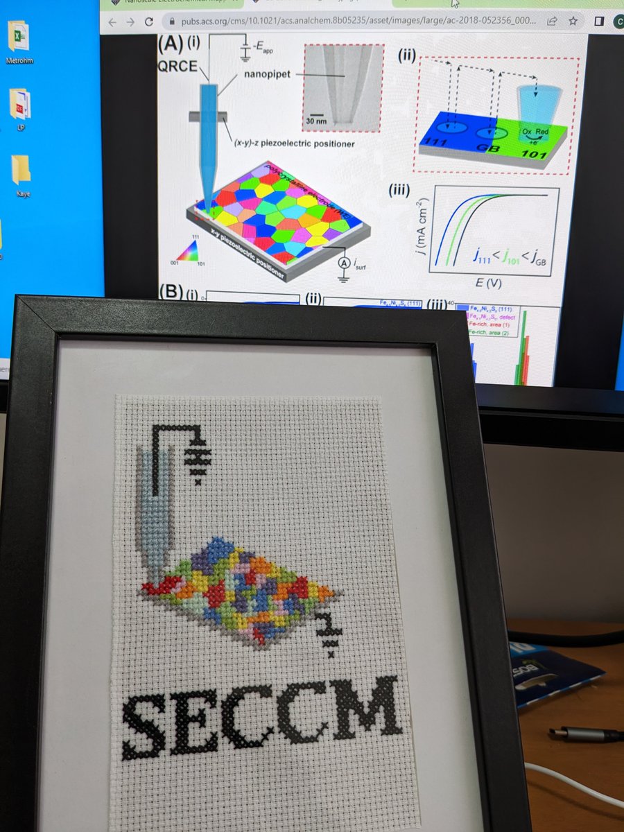Awesome cross stitch from my very talented 3rd year undergrad student, Alannah Hunt. She seems to share my passion for #SECCM 🤩