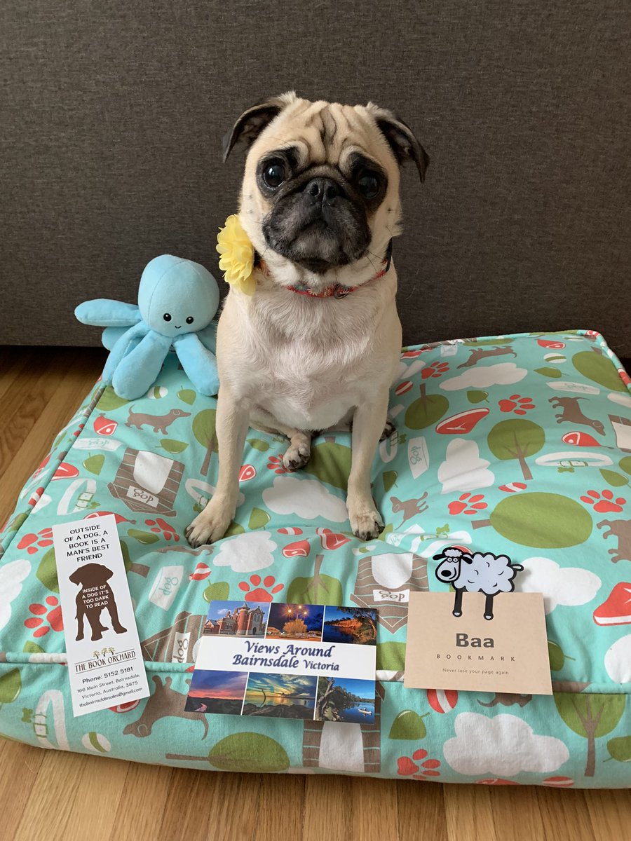 Lt. Petunia Mae Parker 🐷🐑 tweet media