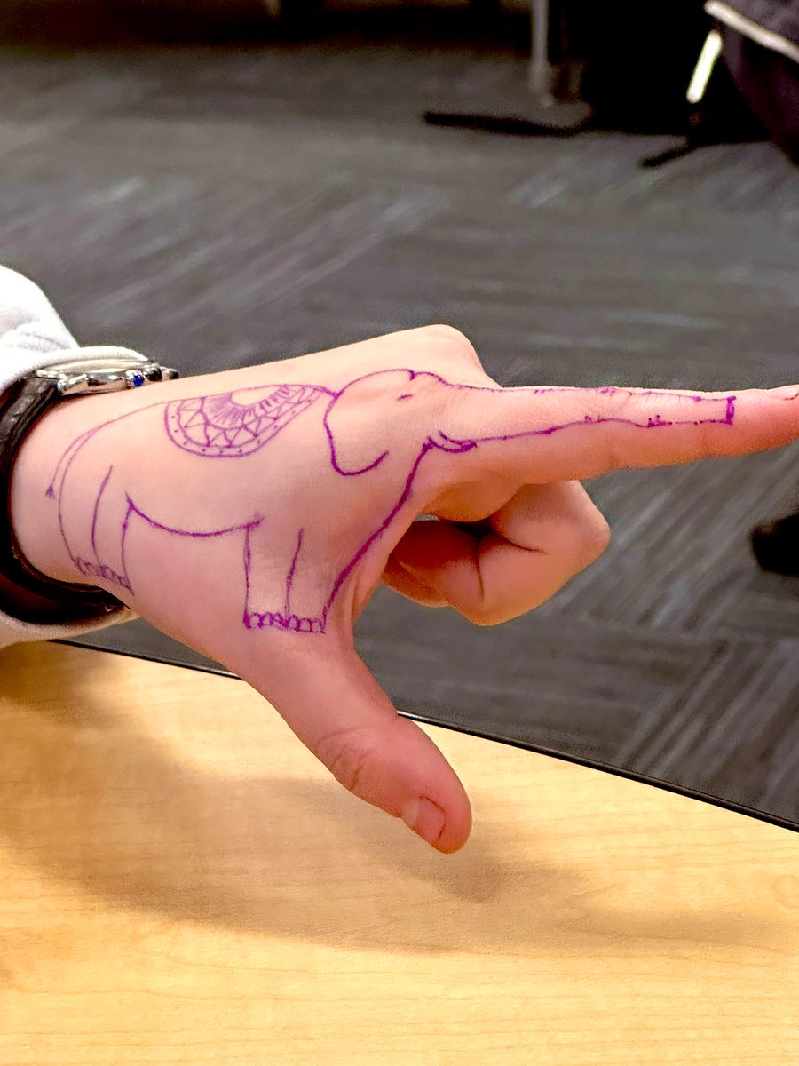 mylawnisgreeen's tweet image. Class is going well 
🐘 #tantor