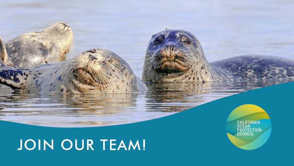 Looking for 🌊 #oceanjobs? Interested in supporting #30x30CA and broader strategic priorities enhancing coastal and marine #biodiversity? We're hiring TWO limited-term Environmental Scientists to join our dynamic team! 

Share or APPLY 💻 by 3/22 👉 bit.ly/OPC-30x30JOBS