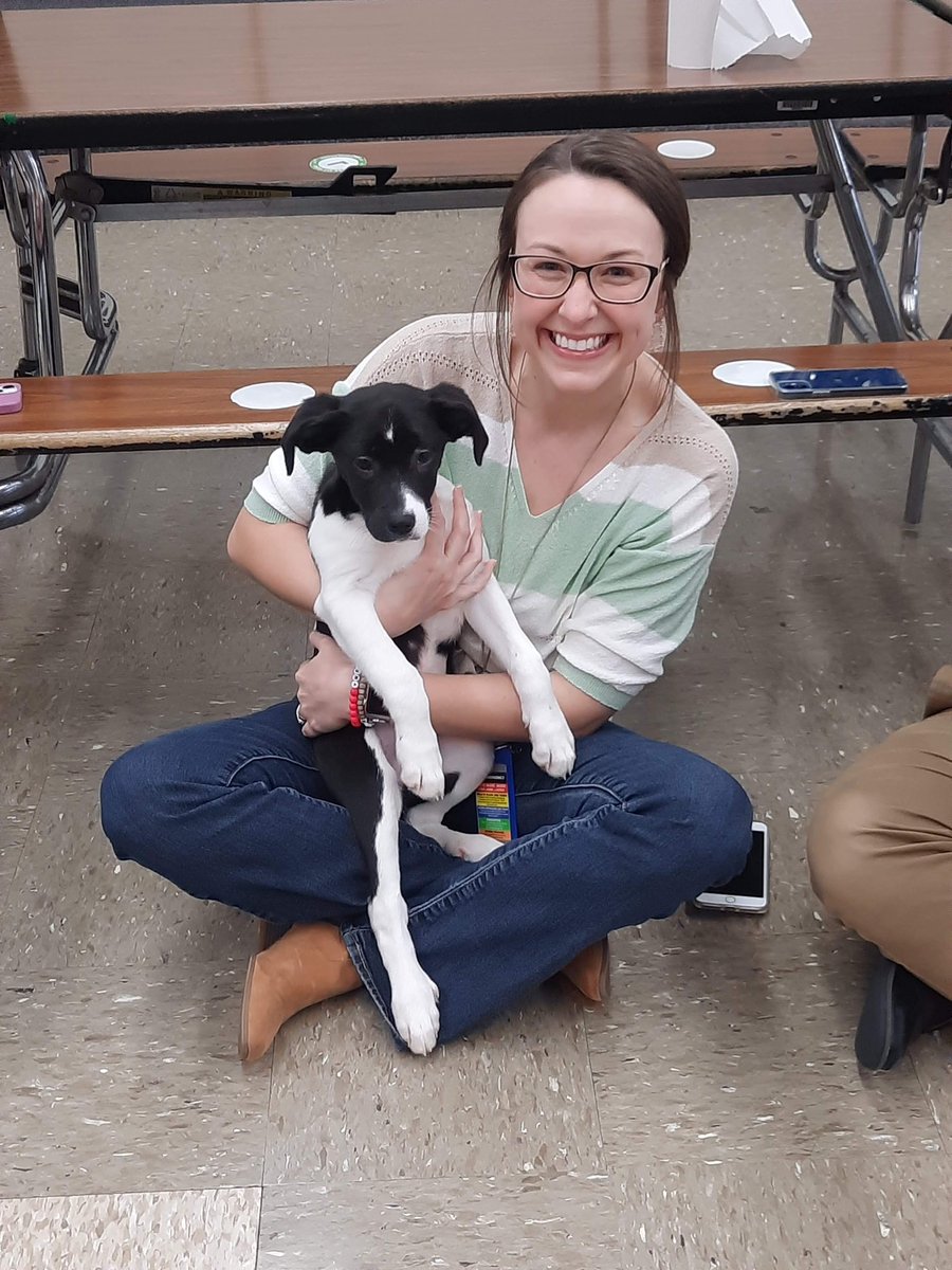 MrsJinGradeK's tweet photo. The best way to bring joy to staff- Puppy PD Wednesday! ❤️ 🐶 #Georgetown #GTstrong @Georgetown204 https://t.co/L4urHDWx6O