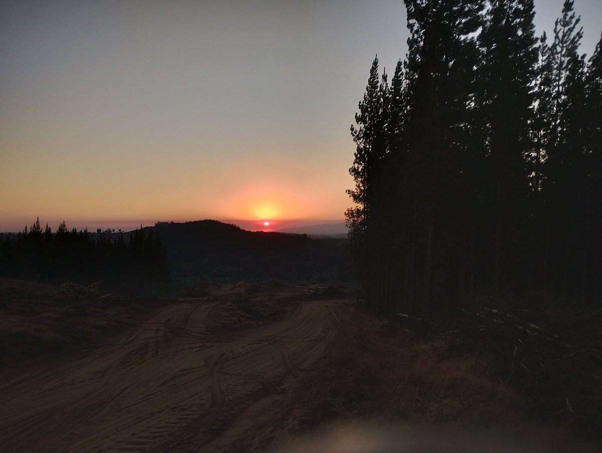 diablillorr18's tweet photo. @carpesanoo Portezuelo, región de Ñuble 🌲🌄 https://t.co/Bq0KooZIEn