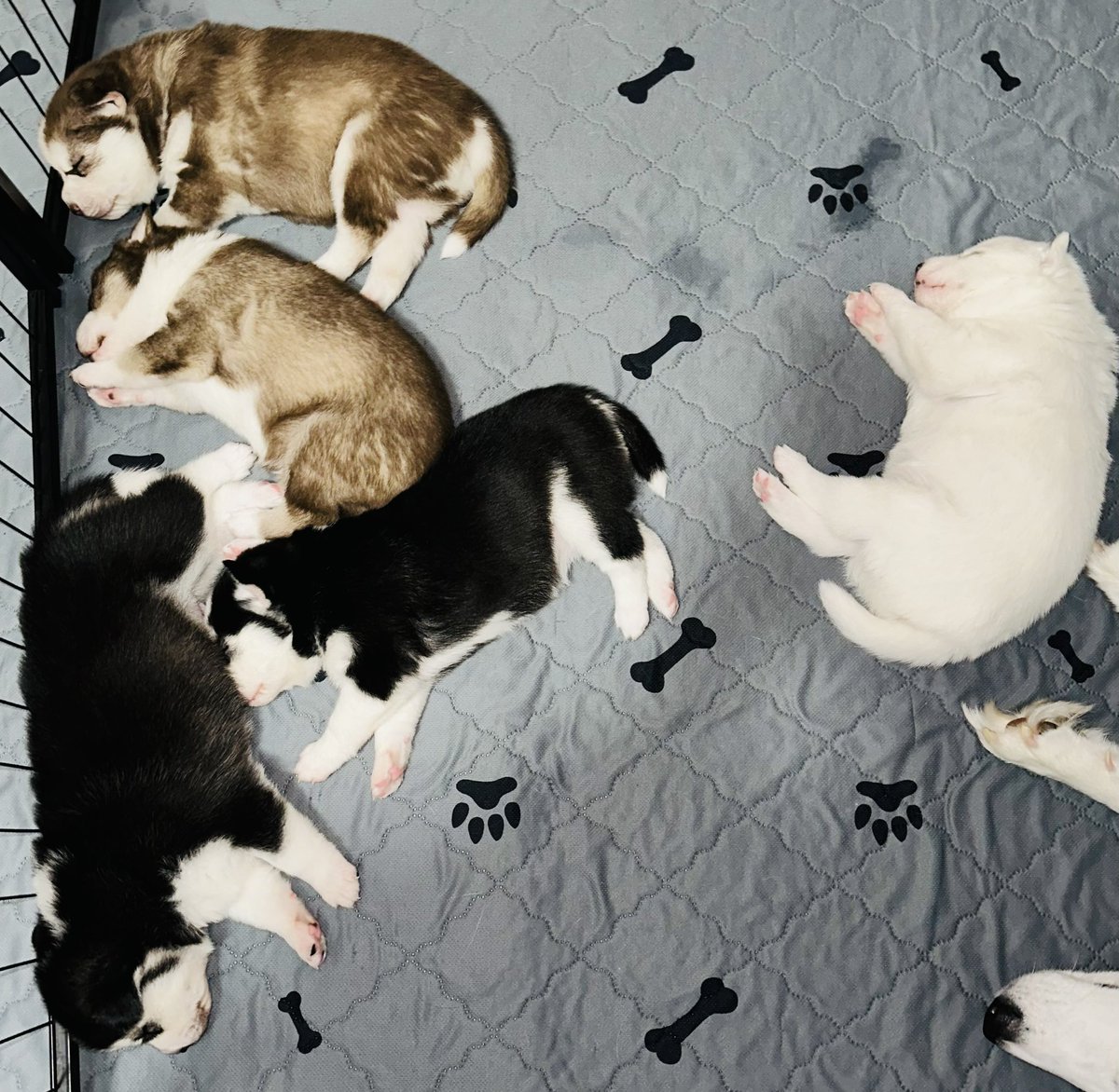 Pm me if interested or for more information. Please share with family and friends!!