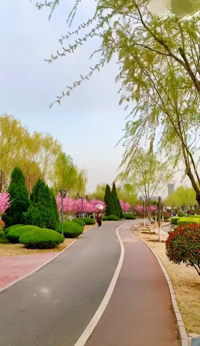 FuxfhH's tweet photo. 早上好！
任何一个想提升人生质量的人，最重要的一点就是要具备积极的态度。你的态度在很大程度上决定了你会如何度过人生，决定了你的人生道路程能走多远。 https://t.co/x0FEc41YHG