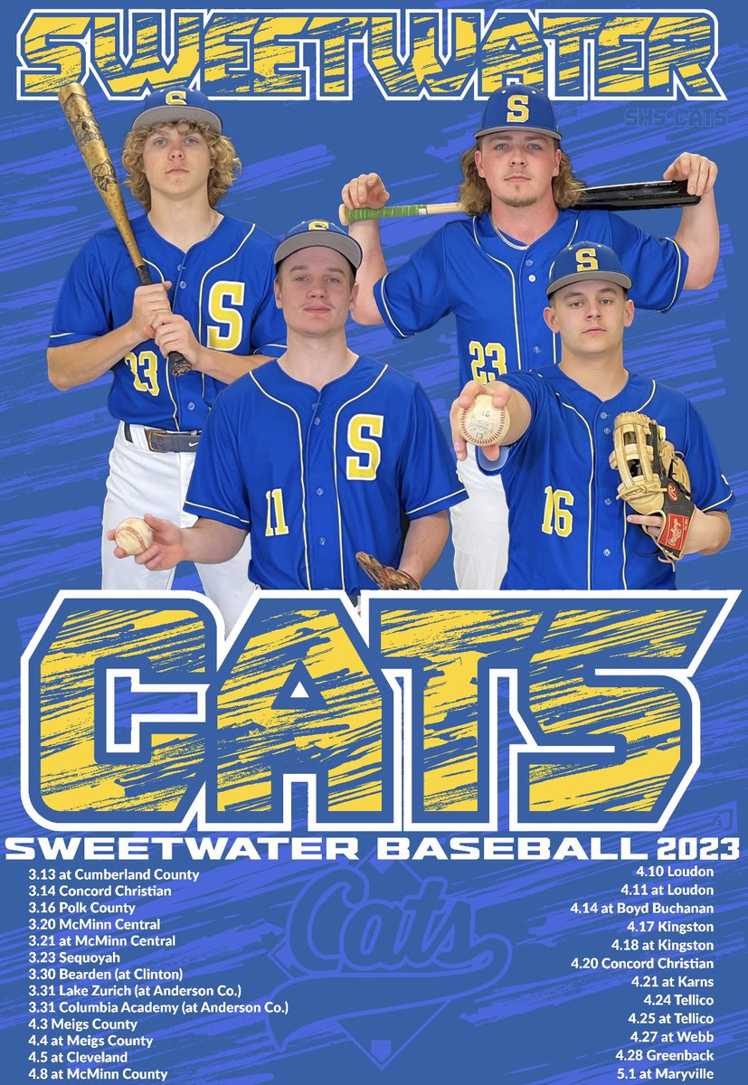 SHS Diamond Cats tweet media