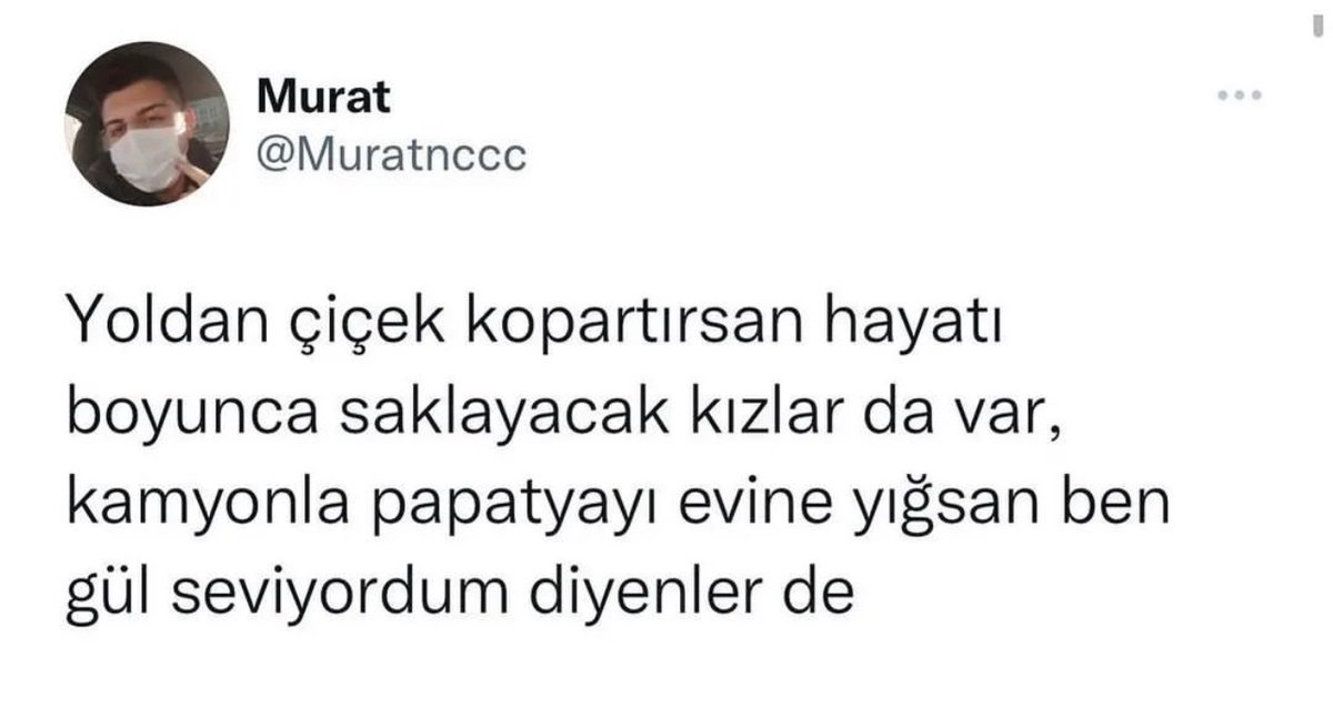 Alnı Öpülesi Tivitler (@alniopulesitivt) on Twitter photo 