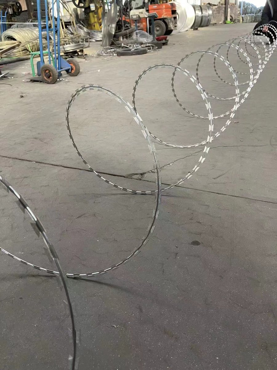 JinnuoPaul's tweet image. These are different styles of razor wire.🥰#razorwire #barbed wire
