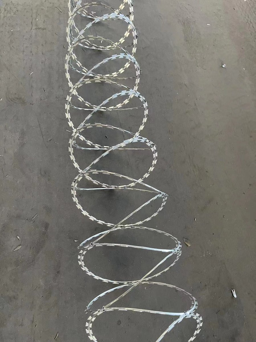 JinnuoPaul's tweet image. These are different styles of razor wire.🥰#razorwire #barbed wire