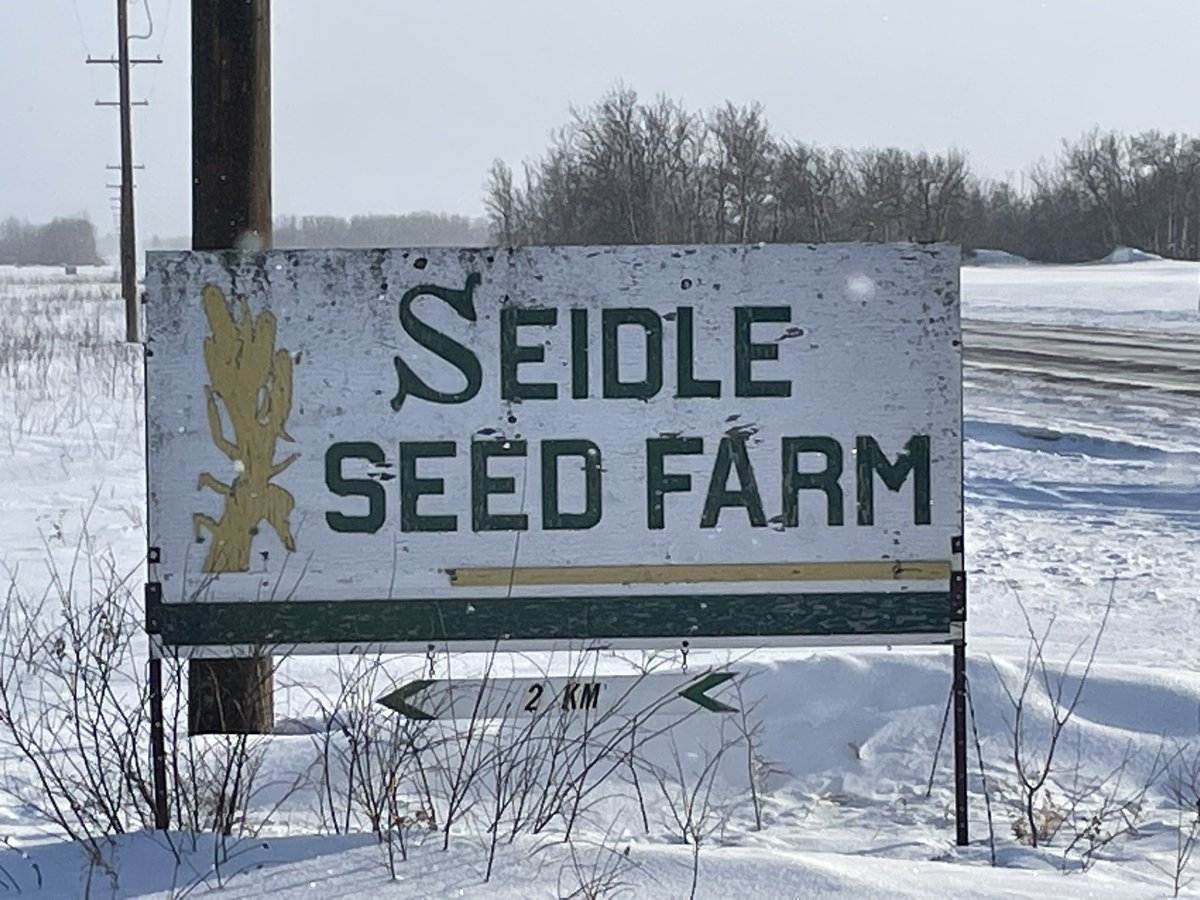 Got to see a couple legends today!  Ed assured me he’s quite a bit older than these varieties and rattled off many many previous to these they’ve grown. They grew AC Metcalfe for 22 years straight!  They’re onto CDC Fraser now so call <a href="/CamSeidle/">Seidle Seed Farm</a> for #plant23 seed <a href="/saskseed/">@saskseed</a>