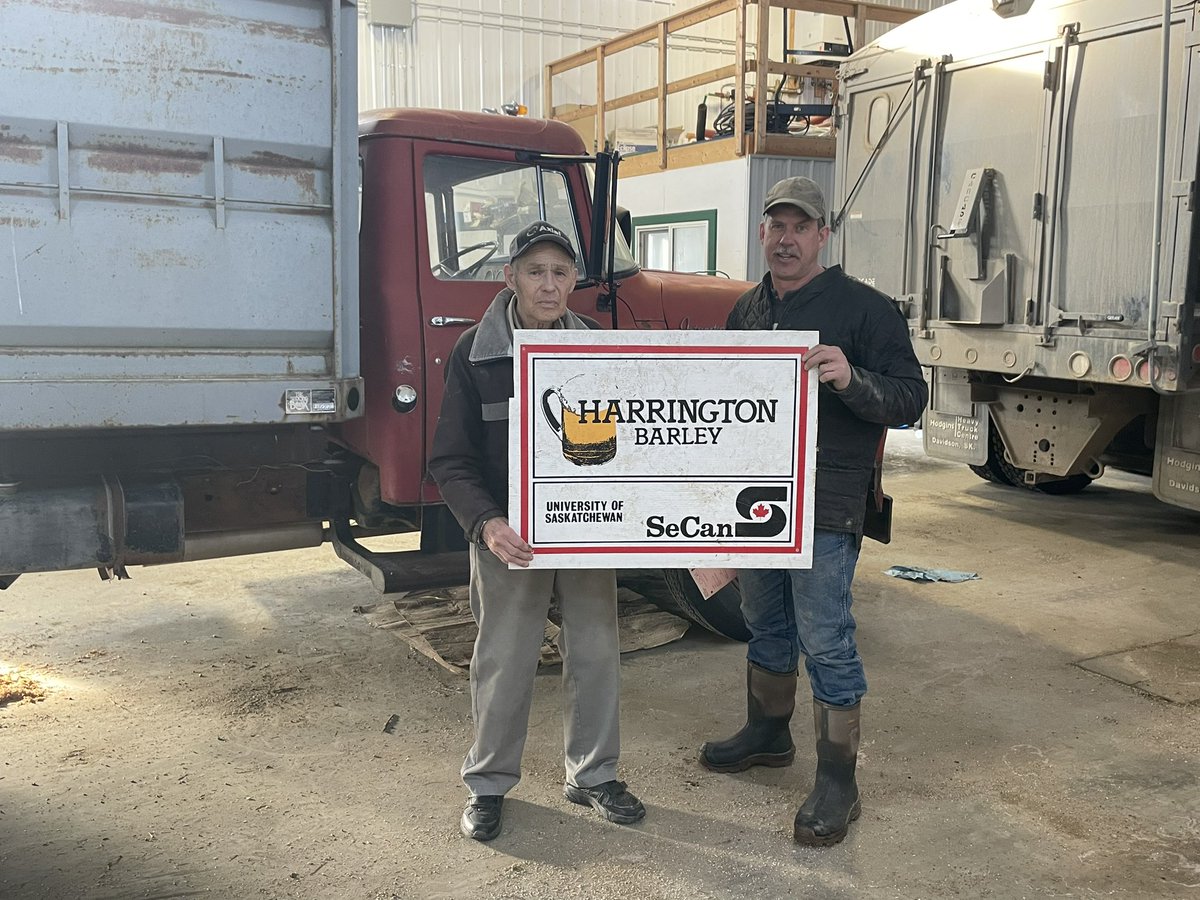 SeCanLauren's tweet photo. Got to see a couple legends today!  Ed assured me he’s quite a bit older than these varieties and rattled off many many previous to these they’ve grown. They grew AC Metcalfe for 22 years straight!  They’re onto CDC Fraser now so call @CamSeidle for #plant23 seed @saskseed https://t.co/5VF05ZaPpz