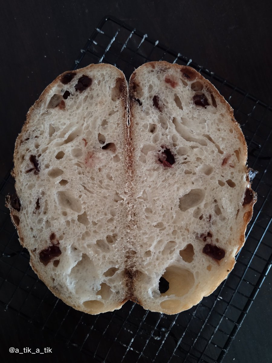 GitaNaya's tweet image. Original and Cranberries SD bread.
.
.
#cranberriessourdoughbread #sourdoughbread #rusticbread