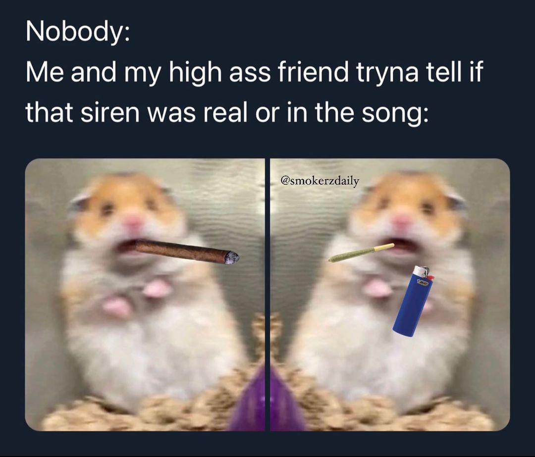 MERRYJANE's tweet photo. It's always in the song... right? 🤣🎵🥺🚔️ https://t.co/KtSzxTg0Xg