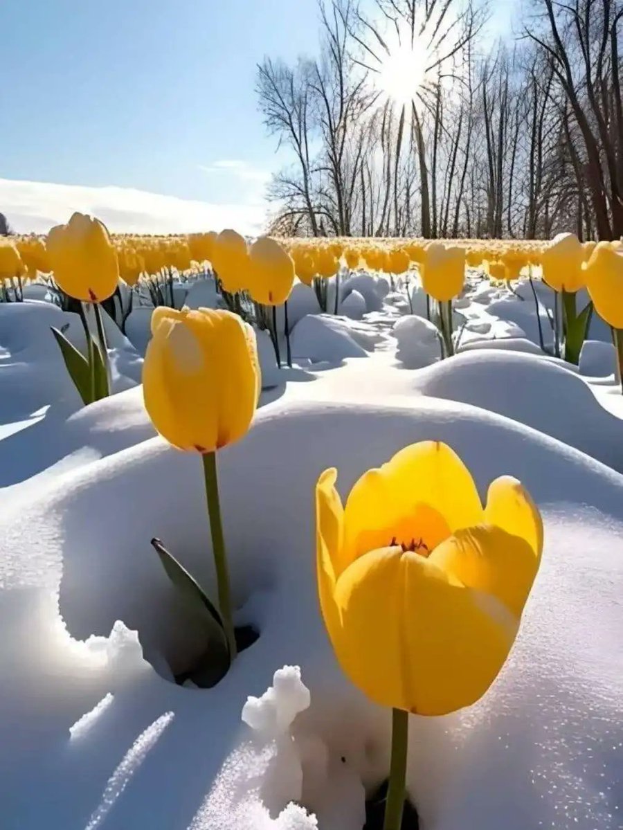 rosmary1741's tweet image. I thank God for bringing you into this new month, may your prayers be answered this month and may God’s light never fade from your heart. With love I wish you a happy new month.
Happy March y&apos;all

#WelcomeMarch 
#WaitingforSpring

🍃*. : ｡🌸 * * .: ｡ 🌸 ** . : ｡ 🌸 ** . : ｡🍃