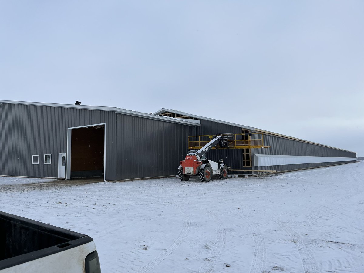 Barns are coming along nice! Wiring and insulating this week😁👍 #albertachickenproducers