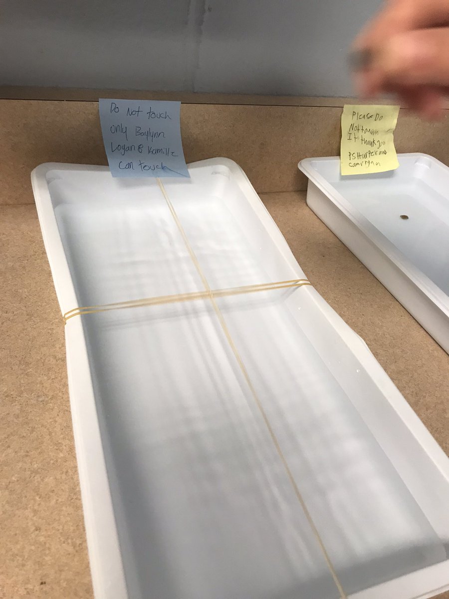 A few more designs for catching sound waves. Sand, water, foil…lots of redesigning and improving devices.