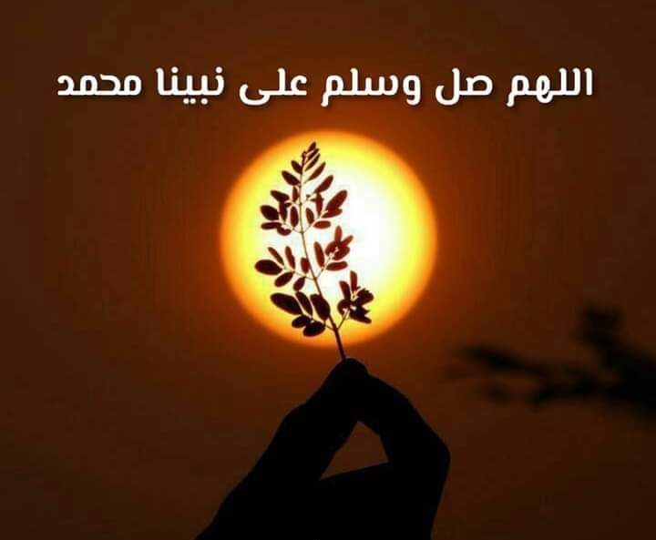 Ahmed Saad (@ahmedsaadit) on Twitter photo 