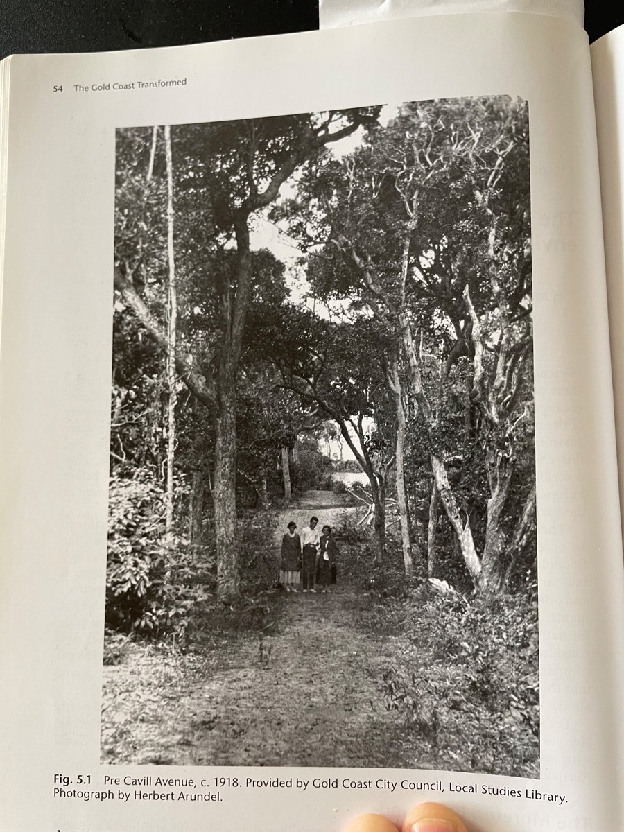 1918 The beautiful land on which now stands the very unbeautiful (imo) Sufferers Paradise. These pics are always a bit of gut punch and I yearn for the land as it was, as I never saw it. 1918 not so long ago
