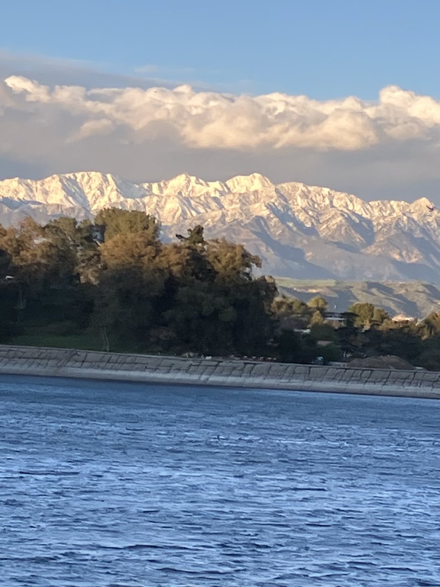 ECoUrbanGardens tweet media