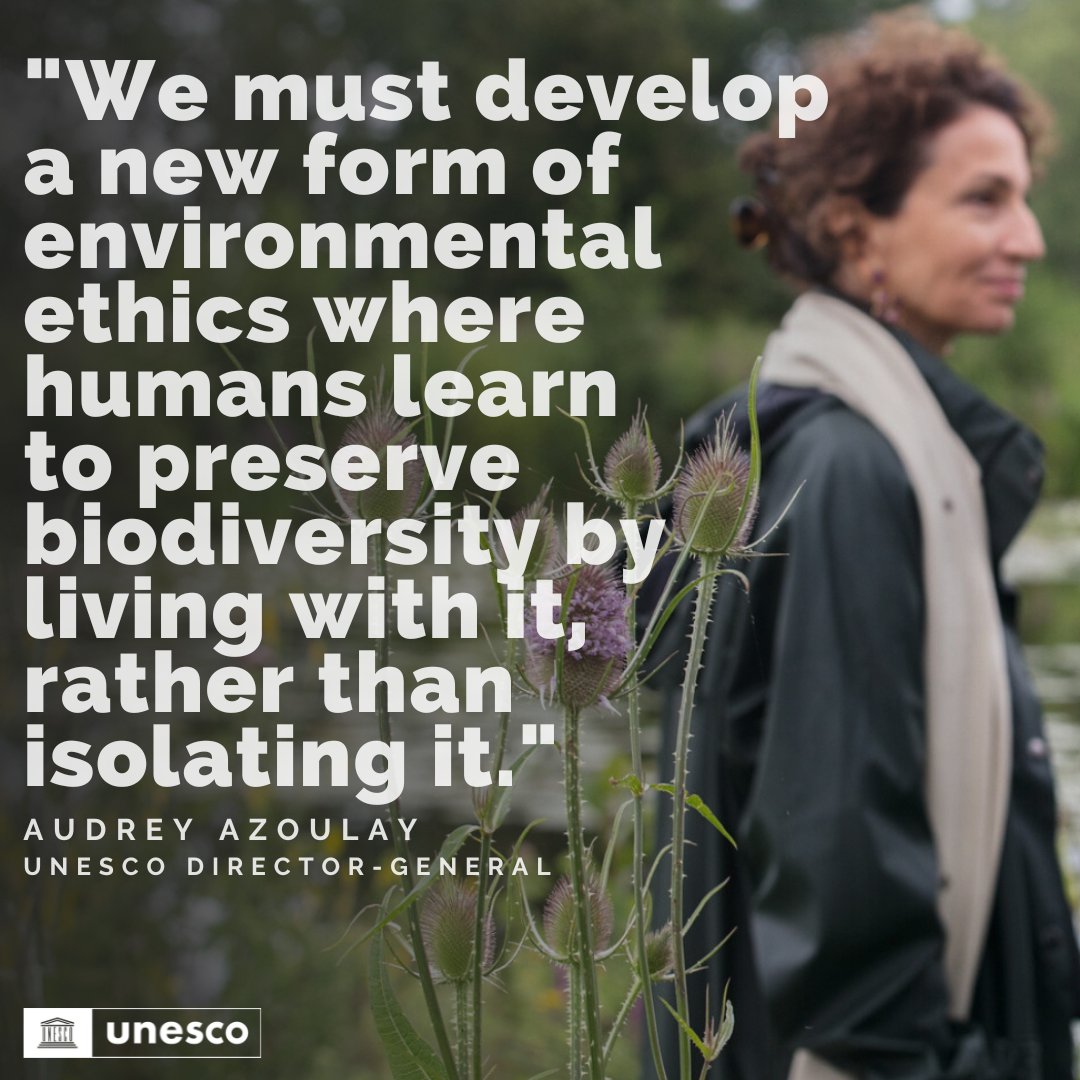 UNESCO 🏛️ #Education #Sciences #Culture 🇺🇳 (@unesco) on Twitter photo Powerful words spoken by <a href="/UNESCO/">UNESCO 🏛️ #Education #Sciences #Culture 🇺🇳</a>'s Director-General, <a href="/AAzoulay/">Audrey Azoulay</a>.
The battle against the loss of #biodiversity is relentless, but it is one we must all fight for.
As the #OneForestSummit is underway, learn about our work to preserve forest biodiversity: whc.unesco.org/en/forests/ Powerful words spoken by <a href="/UNESCO/">UNESCO 🏛️ #Education #Sciences #Culture 🇺🇳</a>'s Director-General, <a href="/AAzoulay/">Audrey Azoulay</a>.
The battle against the loss of #biodiversity is relentless, but it is one we must all fight for.
As the #OneForestSummit is underway, learn about our work to preserve forest biodiversity: whc.unesco.org/en/forests/