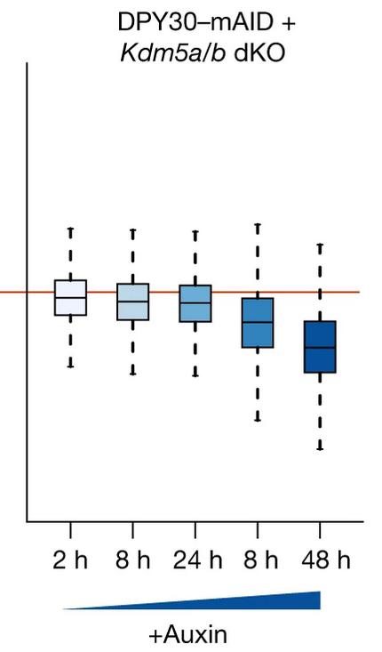 torusengoku💙💛 tweet media